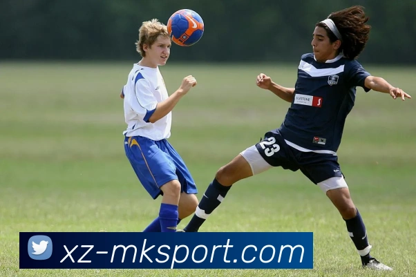 MK体育服务体系