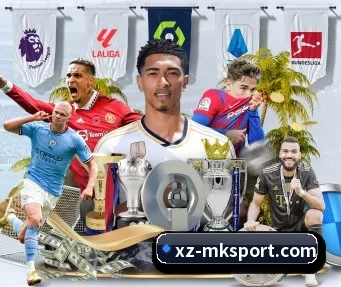 MK体育 APP - MKSPORTS